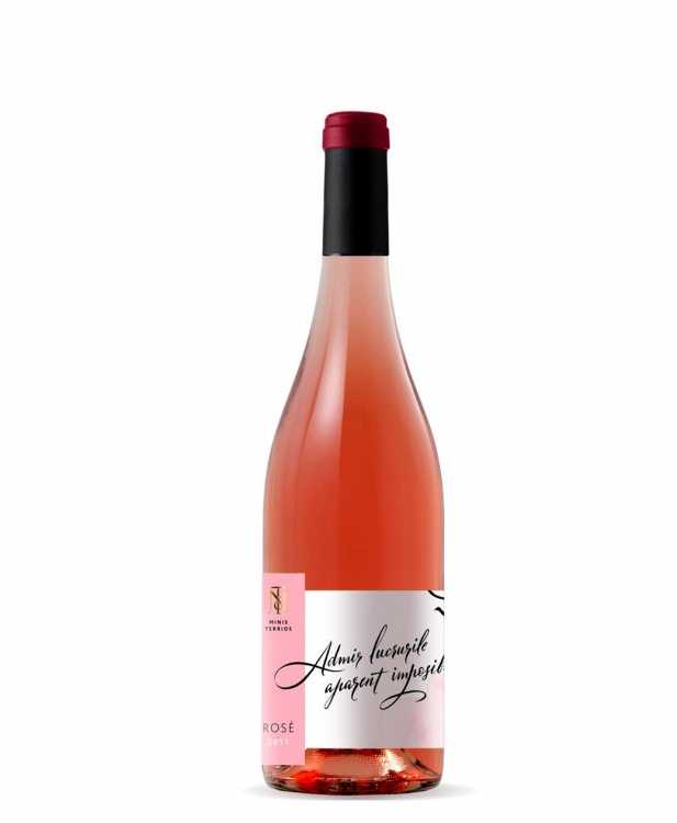 Вино «Rose» 2023 Merlot, Minis Terrios. 0,75